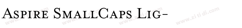 Aspire SmallCaps Lig字体转换 Aspire SmallCaps Lig字体转换